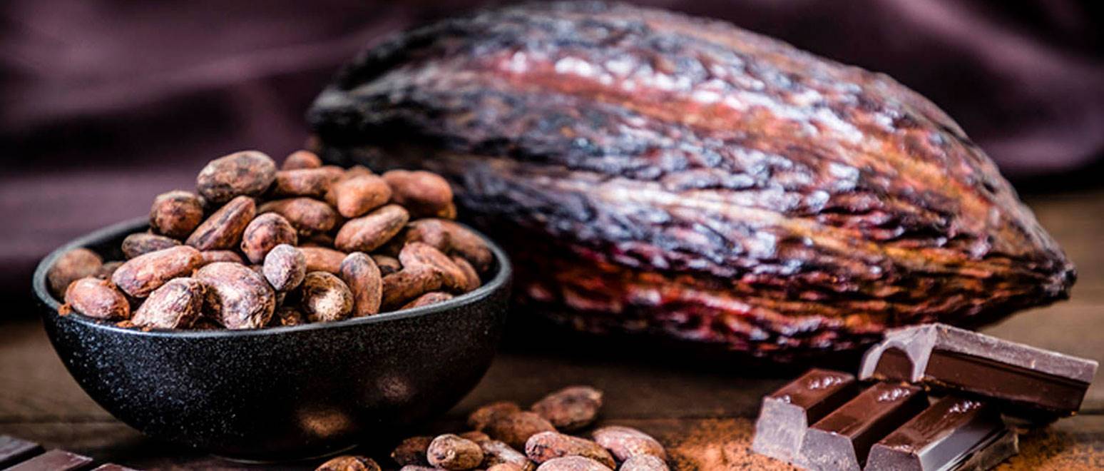 Kakao Çekirdeğinden Lezzet Şölenine: Çikolatanın Yolculuğu
